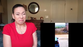 Try not to laugh CHALLENGE 57 - by AdikTheOne | REACTION!!