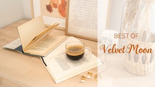VELVET MOON PLAYLIST | CHILL MUSIC | ACOUSTIC MUSIC | CHILL WITH ME