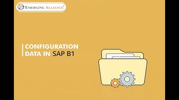 CONFIGURATION DATA IN SAP BUSINESS ONE