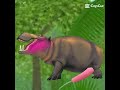 Hippo heat #wildcraft #wildcraftheat