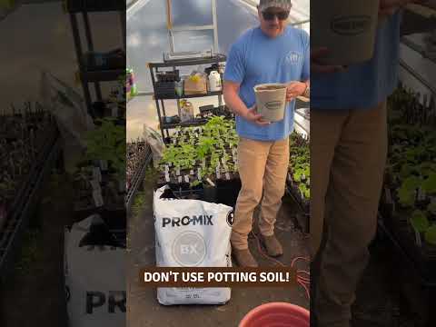 Video: Topsoil vs Potting Soil - labākā augsne konteineriem un dārzam