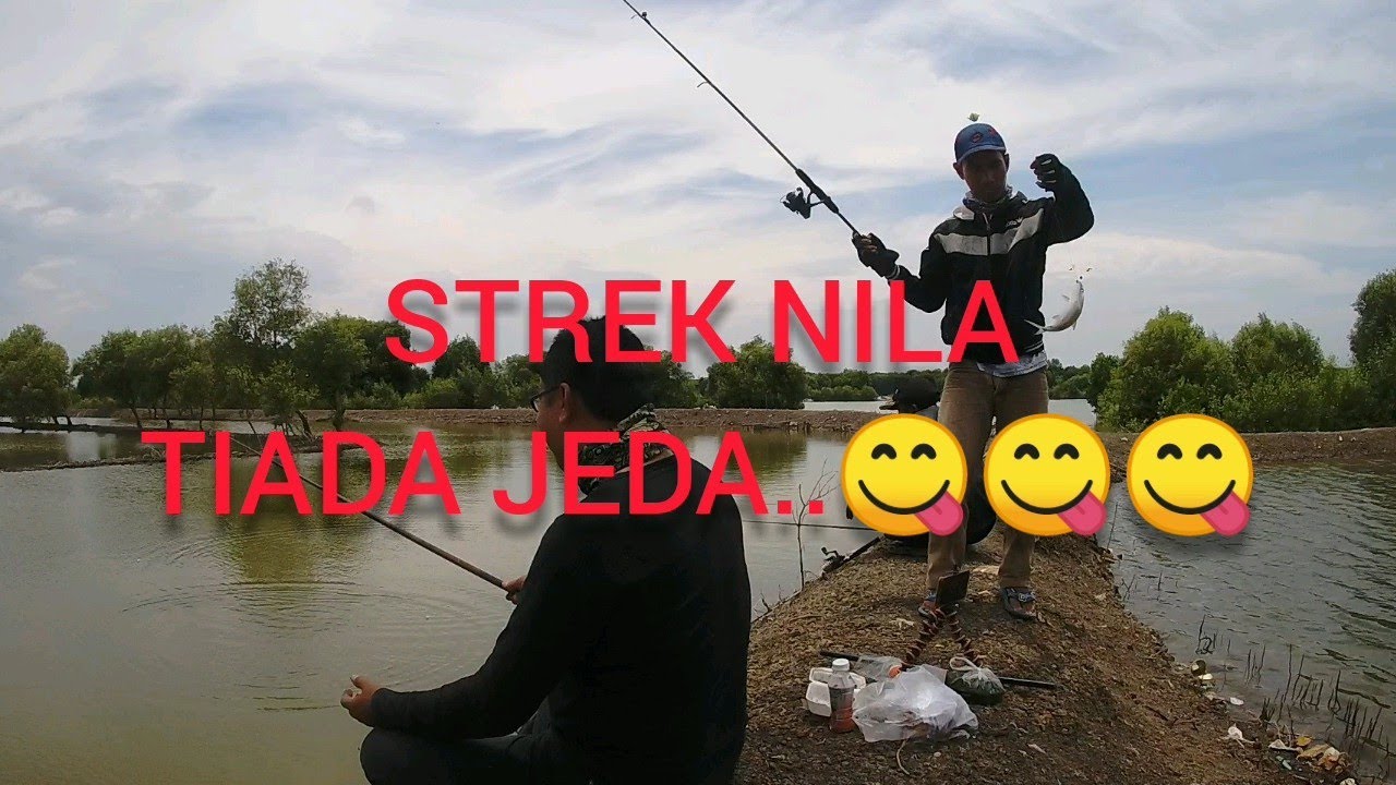 MANCING IKAN MUJAIR NILA DIMUARA PECAH. Muara Gembong.