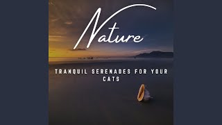 Harmony in Feline Melodies