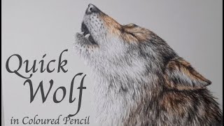 FAST Wolf in Coloured Pencil with Linda Hampson