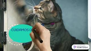 No Strings Pet Care
