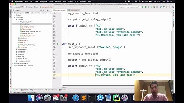 Mocking inputs and outputs with pytest