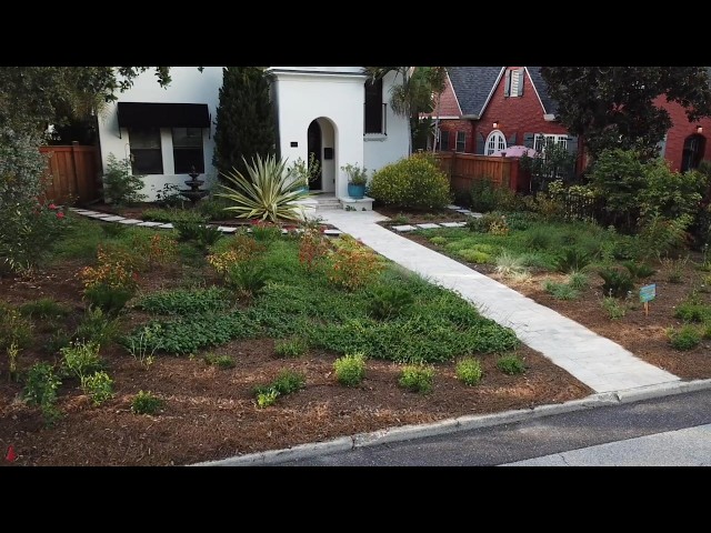 Elegant Florida-friendly front yard