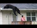 Best Fails of the Week 😂 Try Not to Laugh