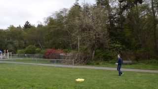 Warthox QuadX with KK2.0 Flight Controller - First Flight