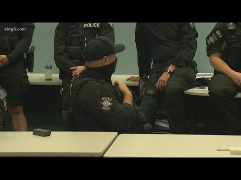 Seattle Real Time 911