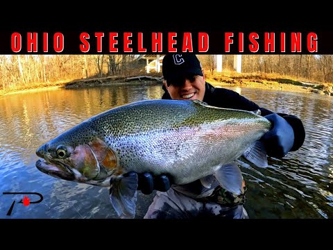 Northern Ohio Steelhead Fishing 