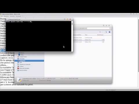Come creare un convertitore euro-dollaro in Python