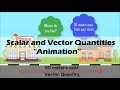 Scalar And Vector Quantities In Motion