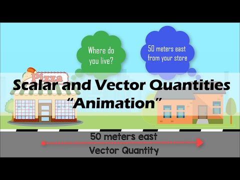 SCALAR & VECTOR | Physics Animation