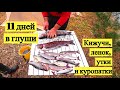 11 дней в глуши. Кижучи, ленок, утка и куропатки