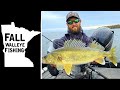 SUPER Shallow Fall Walleye Fishing