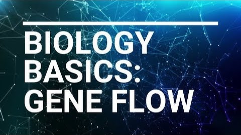 Biology Basics: Gene Flow (Scientific)