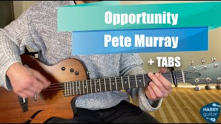 Opportunity  Pete Murray  Guitar Lessontutorial  Tabschords