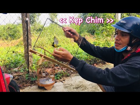 Video Làm Bẫy chim rời gắn vào Lồng nuôi chim - youtube