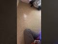 Whipping Sound On TikTok Whipping Sound On TikTok