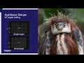 Bird Photography Camera Settings with Shelley Preston from Olympus