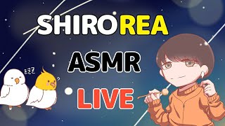 【ASMR】なんと4か月ぶりの配信【音フェチ】