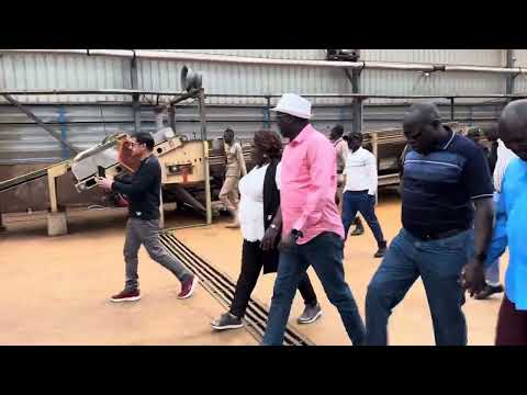 Great Visit At Verdanta Plc Tea Plantation Farm In Majang Zone Godere Woreda Gambella Region