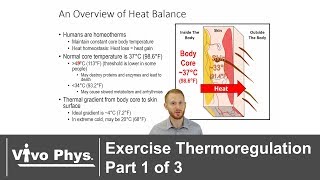 Exercise Thermoregulation Part 1 of 3  Overview