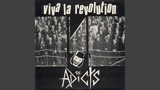 Viva La Revolution chords