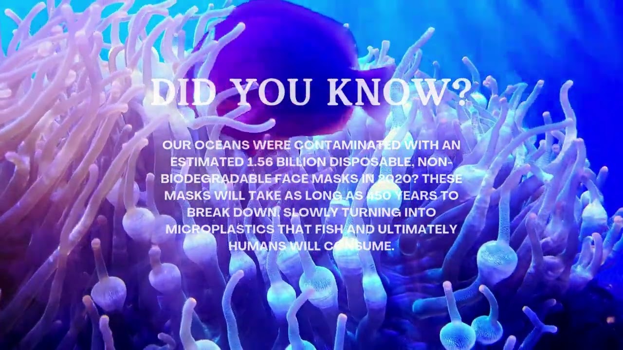 Amount of disposable masks contaminate our oceans