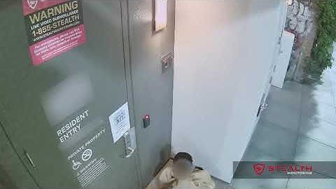 Audio Warning Scares Away Transient Loiterer