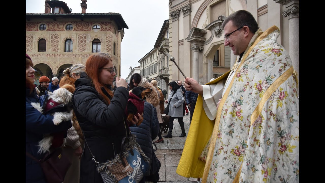 Vigevano, la benedizione degli animali per Sant'Antonio Abate