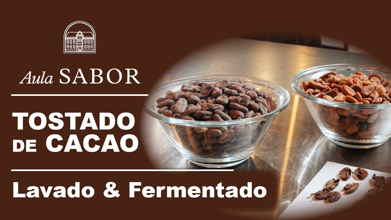 Todo lo que tienes que saber sobre Tostado de CACAO