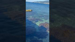 Доброе утро , Отрадное #море#черноеморе#ялта#водакакслеза#прозрачнаявода#августялта