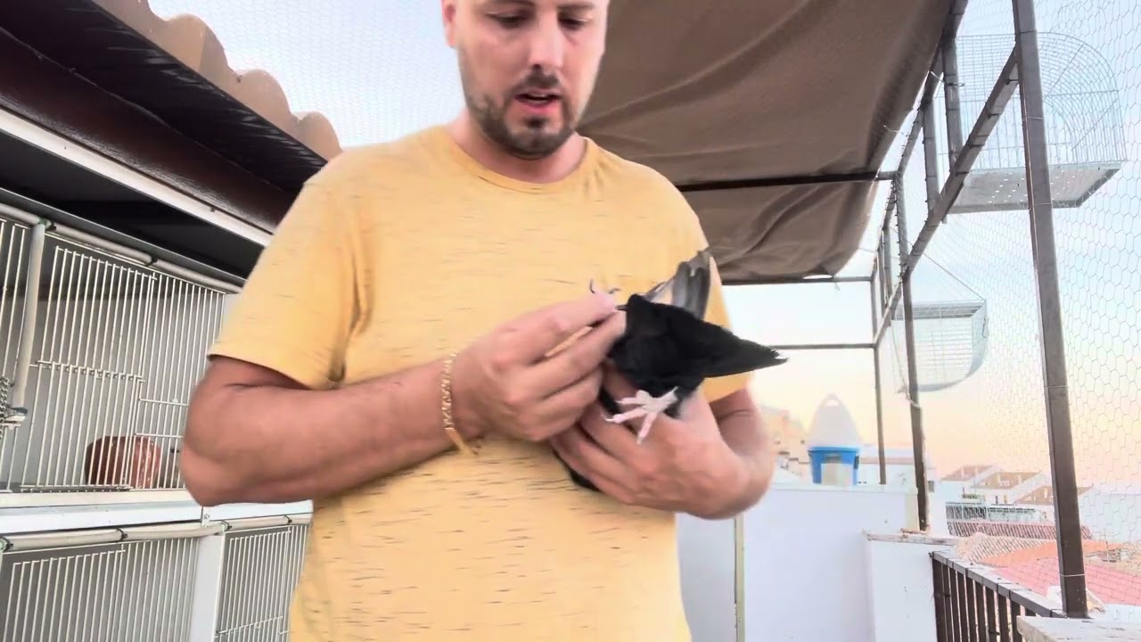 Otro truco.  Macho o hembra?????? Hay os dejo la explicación un saludo 👋 