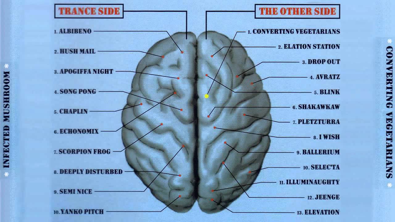 Guarda Infected Mushroom - Echonomix su YouTube Guarda Infected Mushroom - Echonomix su YouTube