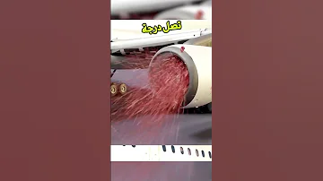 ماذا سيحدث اذا دخل شخص الى محرك الطائرة 