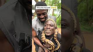 Do you love these as pets ? #comedy