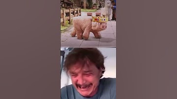 Technoblade never dies 🕊️ #minecraft #technoblade #technobladeneverdies #minecraftmovie