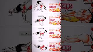 Your Arms Try My Experience Home Exercises Daily Hard Arms #armstrong #armsexercises #homeworkout