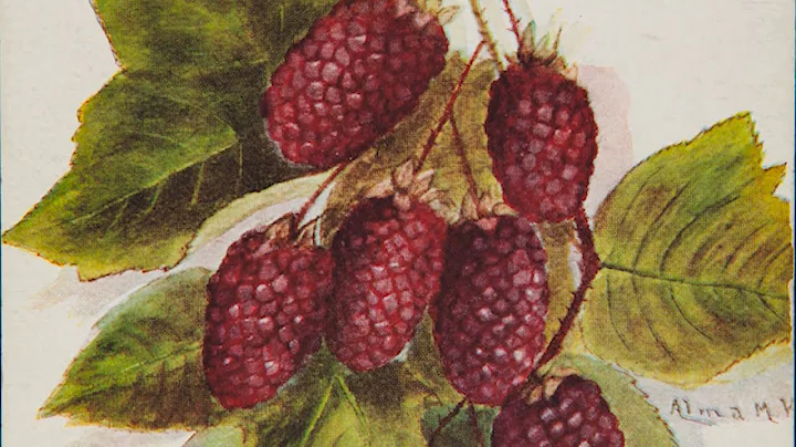 How Luther Burbank Created Hundreds of New Plants ...