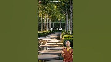 🌳5 VẬT LIỆU TRONG CẢNH QUAN SÂN VƯỜN HAY DÙNG - KHOÁ HỌC PHAN MEM CẢNH QUAN SÂN VƯỜN