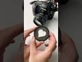 This Easy Trick Makes Cat Photos Magical!