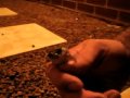 Frog Screams Like A Baby 