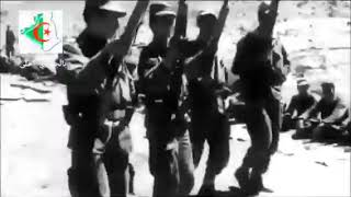 رقص ثوار الجزائر رقصة العلاوي الحربية الجزائرية بعد إنتصارهم في معركة ضد الإستعمار الفرنسي