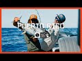 Puerto rico  surfing and fishing film  salty crew team trip