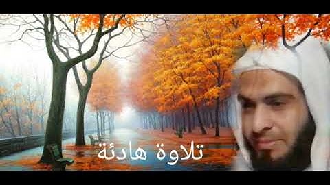 سورة الفاتحة للقارئ / أشرف نمر