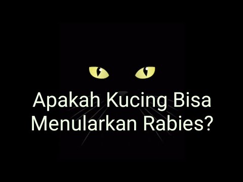 Video: Bagaimana Rabies Ditularkan Pada Kucing