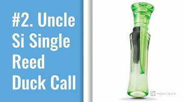 Best Duck Call for Beginners