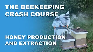 Honey Production And Extraction - Beekeeping Basics Part 10 - Beekeeping Crash Course